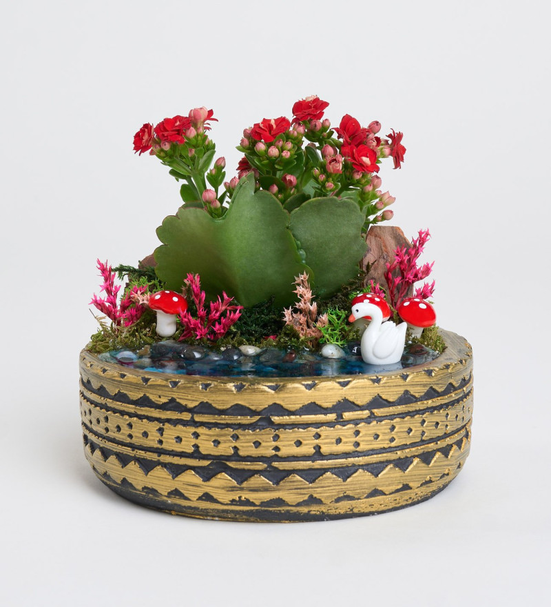 Ring Saksıda Kırmızı Kalanchoe Teraryum