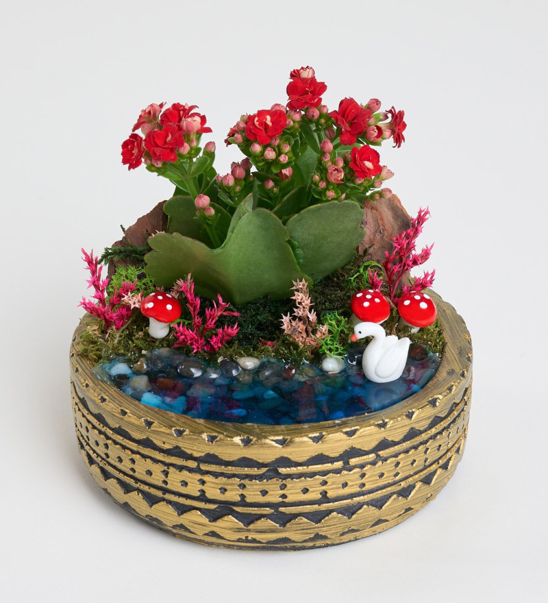 Ring Saksıda Kırmızı Kalanchoe Teraryum