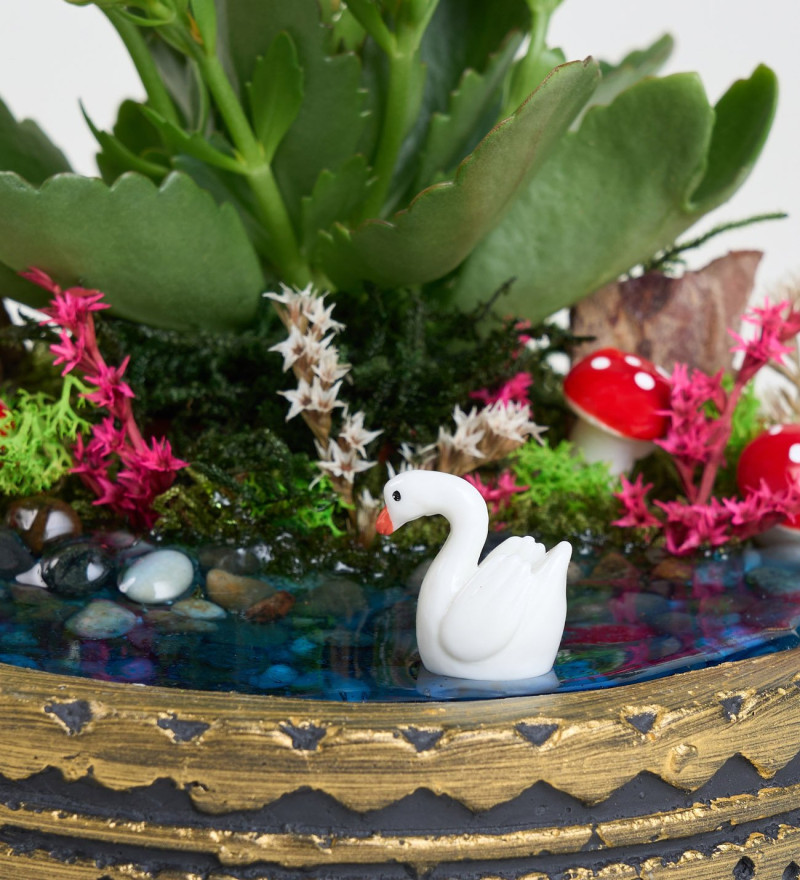 Ring Saksıda Turuncu Kalanchoe Teraryum