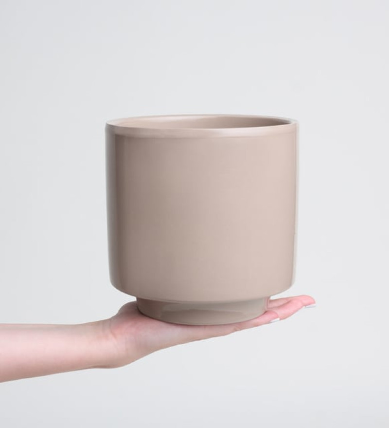 Gri Beton Saksıda Antoryum - Flamingo Çiçeği